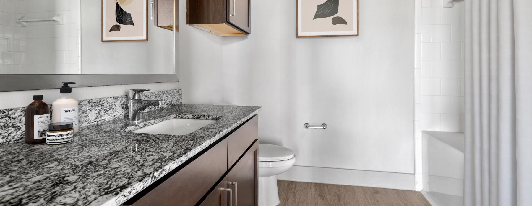 a bathroom with a marble countertop